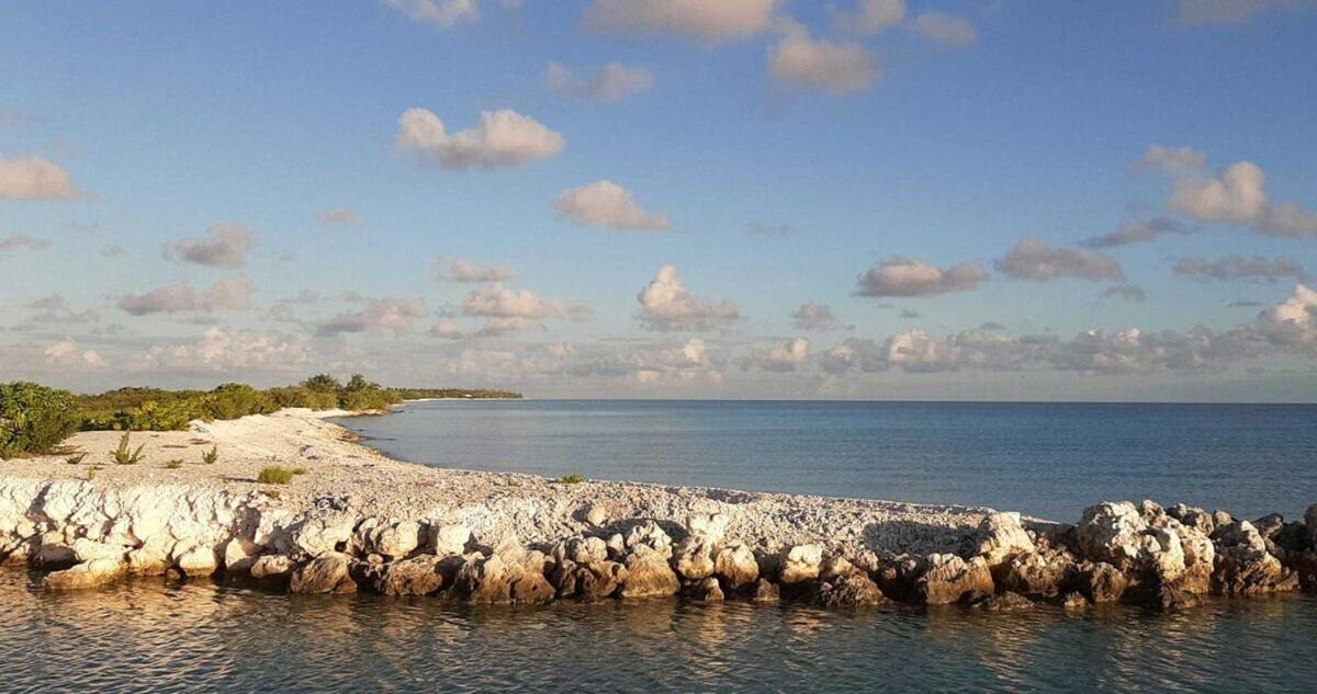 Moana Breeze Rangiroa - Rental Car Included - Air Conditioning - Wi-Fi Tiputa Δωμάτιο φωτογραφία