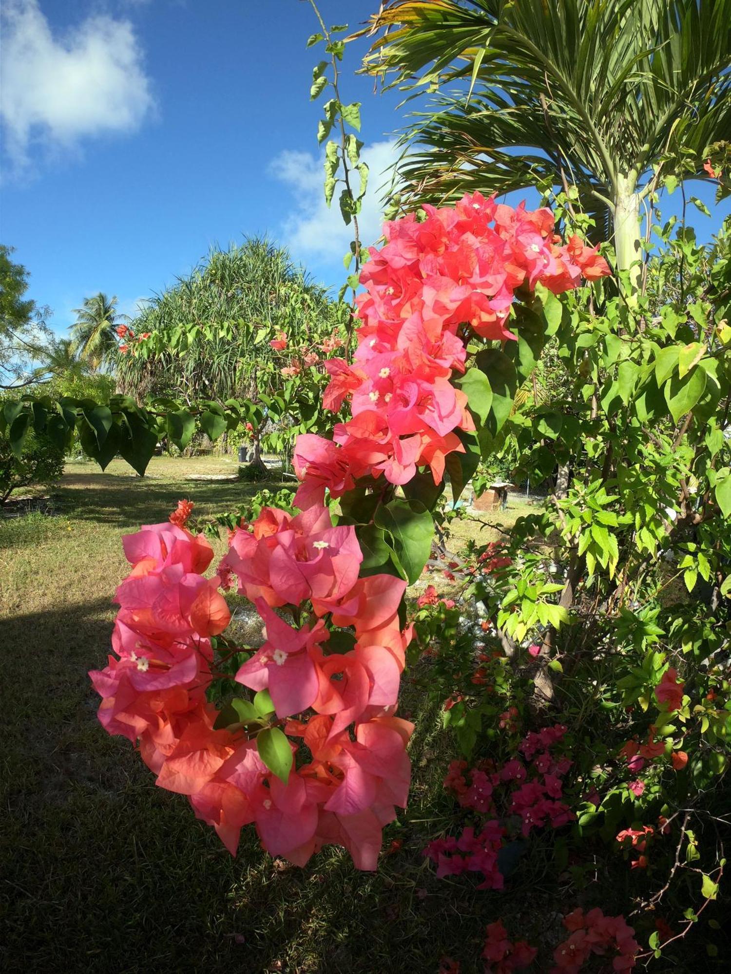 Moana Breeze Rangiroa - Rental Car Included - Air Conditioning - Wi-Fi Tiputa Εξωτερικό φωτογραφία